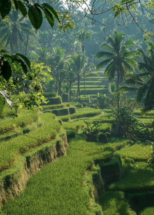yogaART RETREAT | BALI