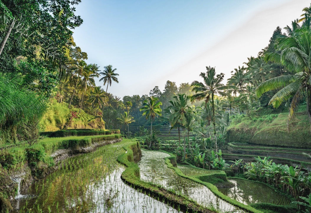 yogaART RETREAT | BALI