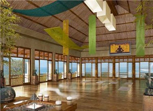 "free your soul" Retreat | PAINTING & YOGA | Costa Rica, Nosara